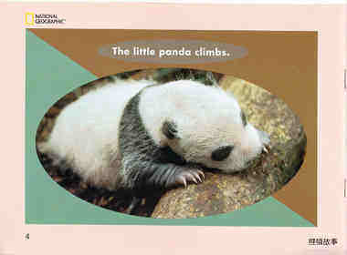 The Little Panda绘本故事第5页