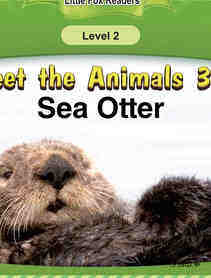 Sea Otter