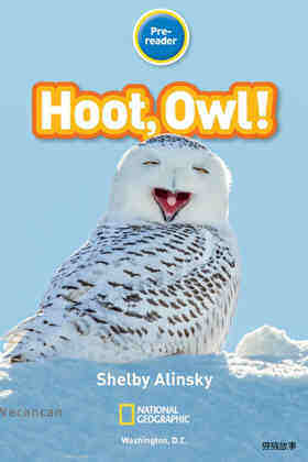 Hoot Owl