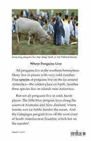 Penguins绘本故事第4页