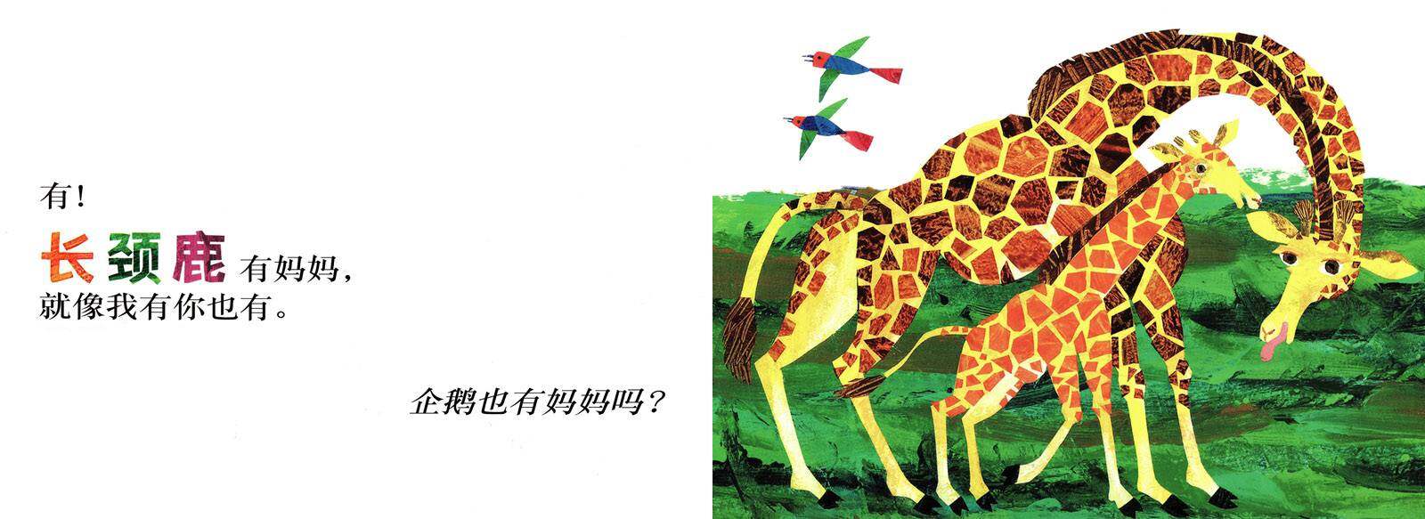 袋鼠也有妈妈吗？绘本故事第4页