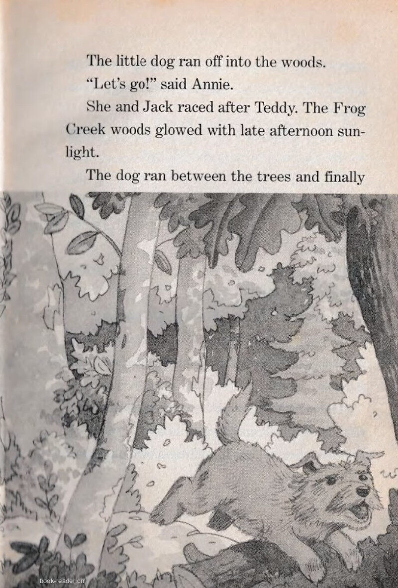 01 How Far Away?绘本故事第5页