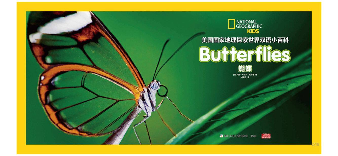 蝴蝶绘本故事第2页