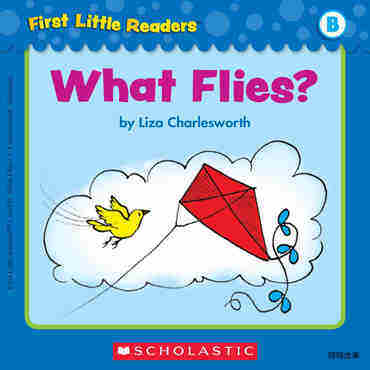 What Flies?