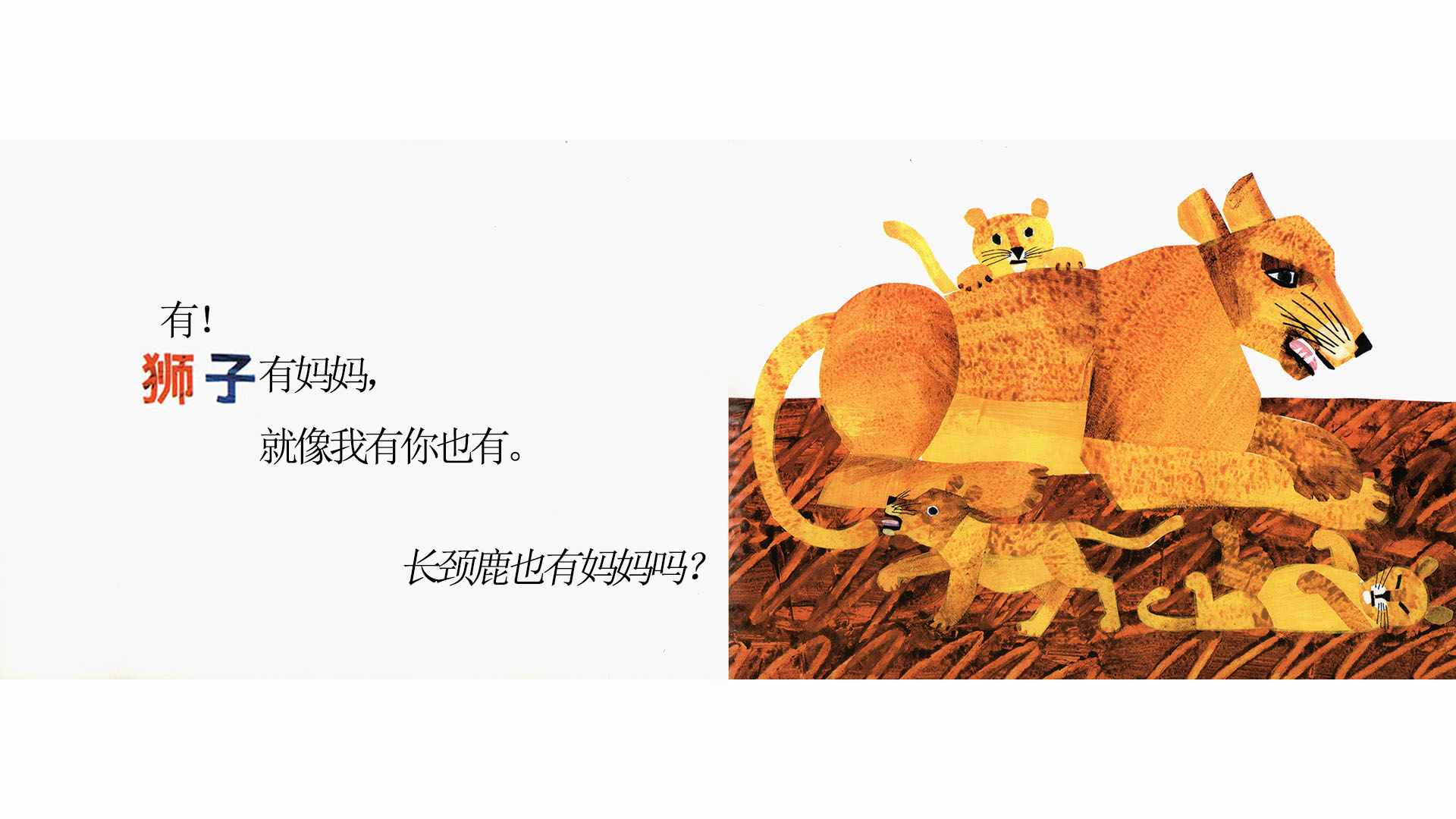 袋鼠也有妈妈吗？绘本故事第4页