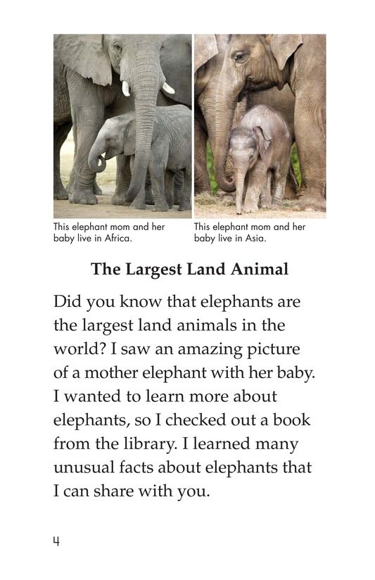 Elephants绘本故事第3页