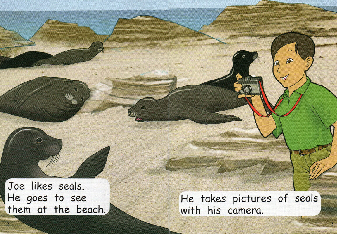 Seal On The Loose绘本故事第3页