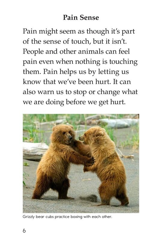 Beyond the Five Senses绘本故事第5页