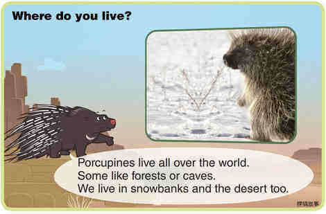 Porcupine绘本故事第4页