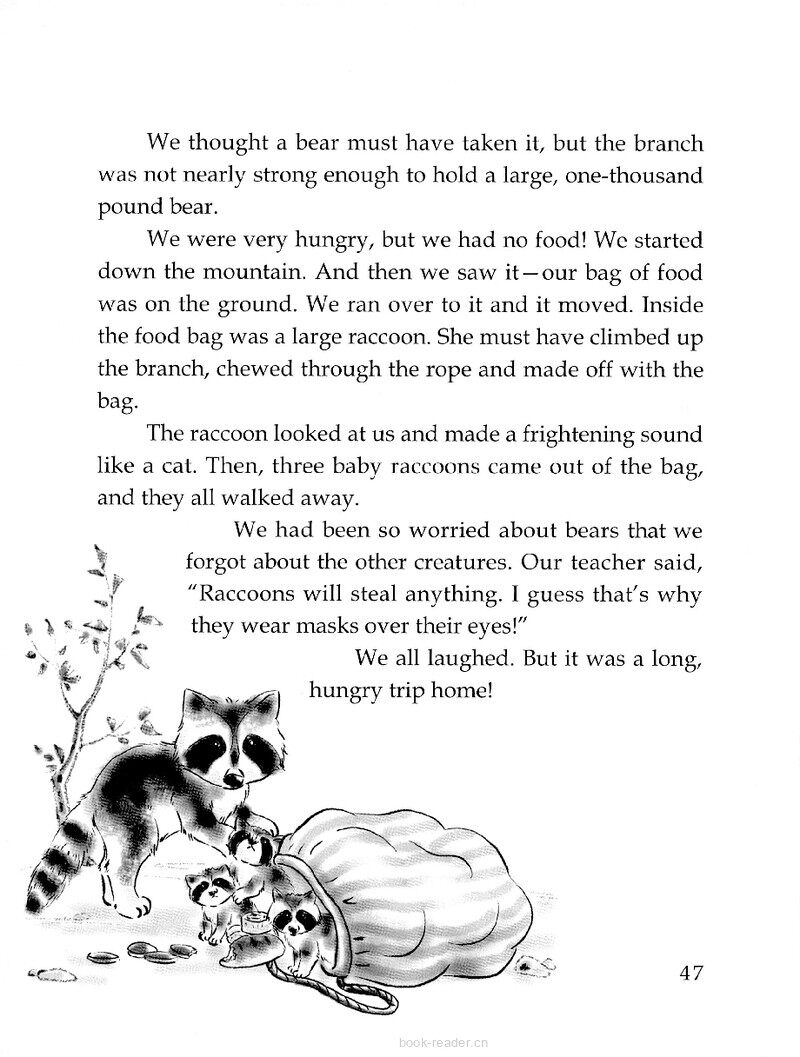 The Masked Bandit绘本故事第3页