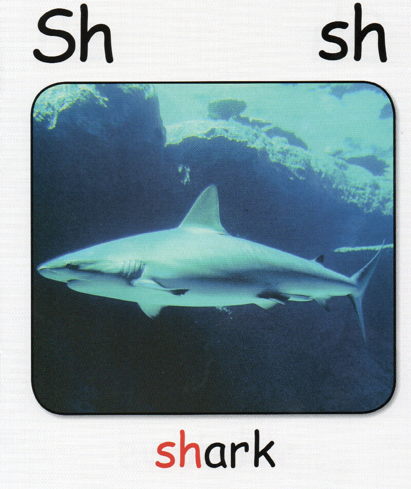 SH绘本故事第5页