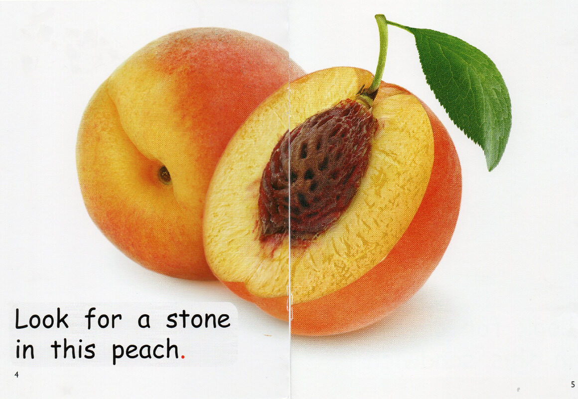 what is inside？绘本故事第4页