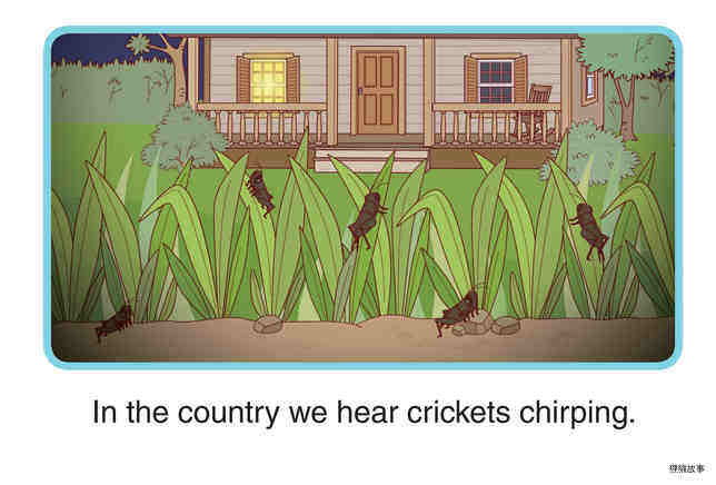 City Sounds and Country Sounds绘本故事第5页