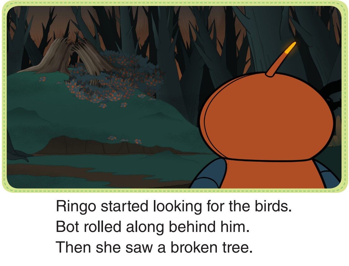 Looking for Birds绘本故事第5页