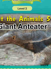 Giant Anteater