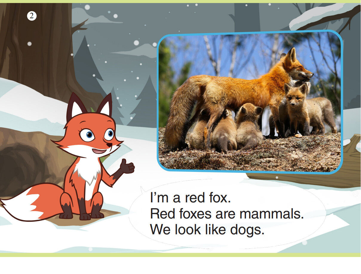 Red Fox绘本故事第3页