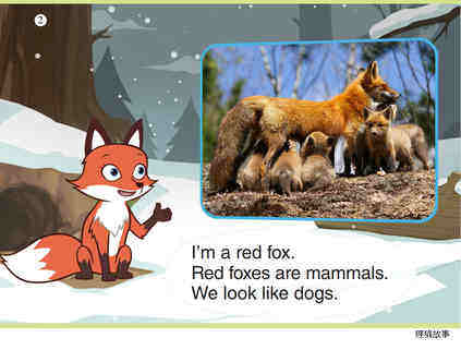 Red Fox绘本故事第3页