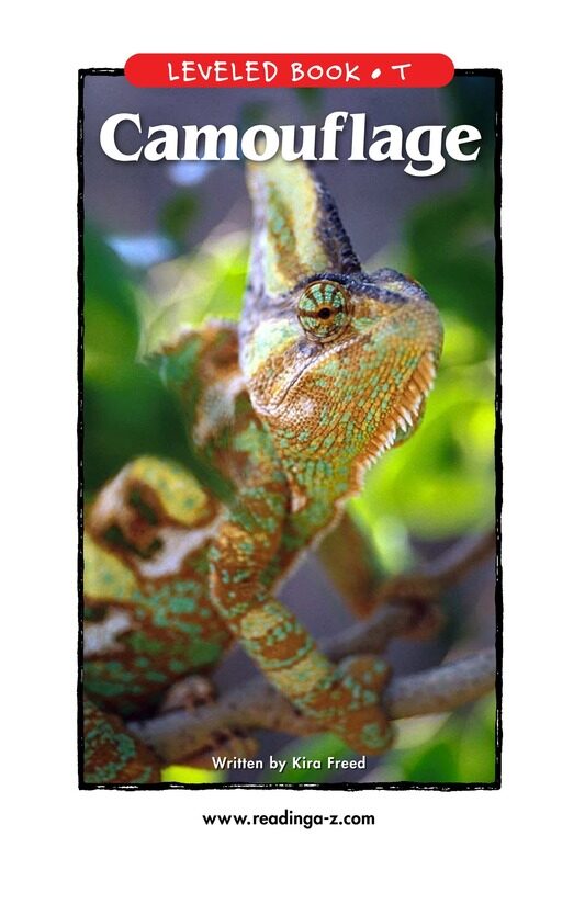 Camouflage绘本故事第2页