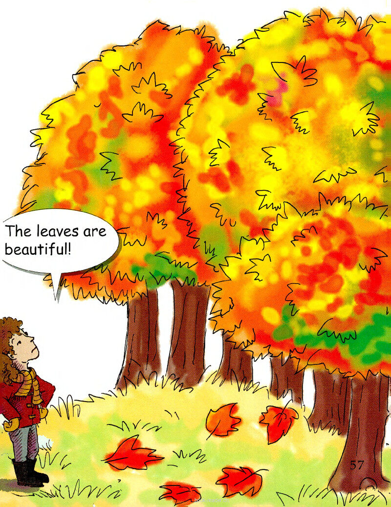 Changing Leaves绘本故事第3页