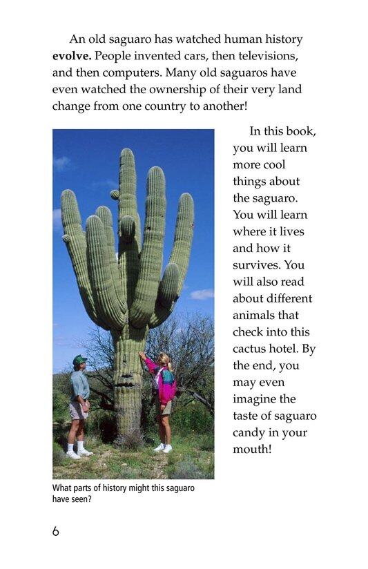 The Mighty Saguaro Cactus绘本故事第5页