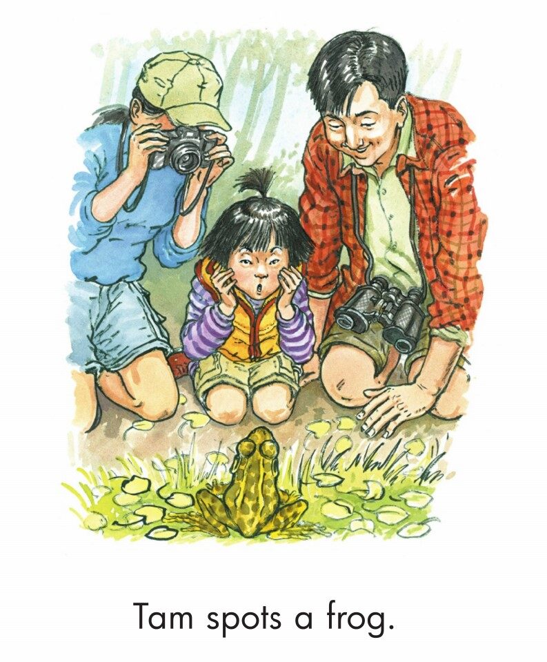 A Walk in the Forest绘本故事第5页