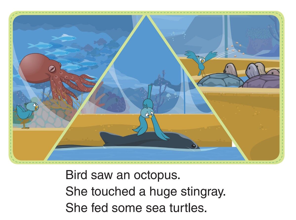 Looking at Fish绘本故事第4页