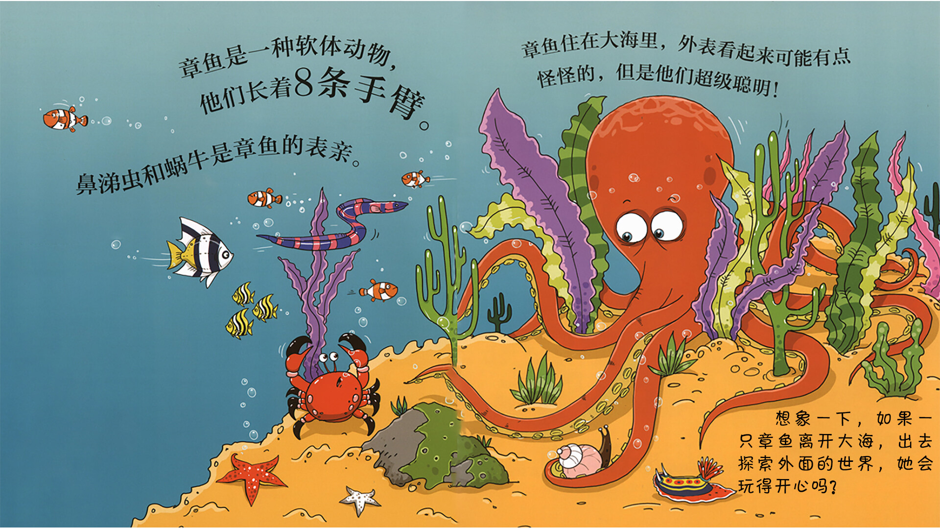 章鱼能爬上高楼吗？绘本故事第3页
