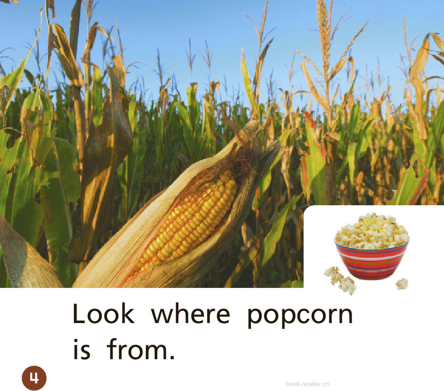 GK Approach U09W3 Look Where It Is From绘本故事第5页