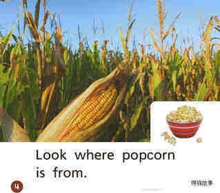GK Approach U09W3 Look Where It Is From绘本故事第5页