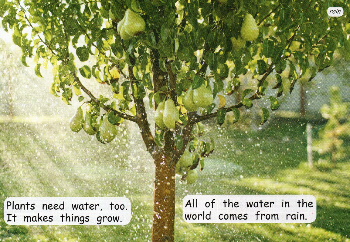 water from rain绘本故事第4页