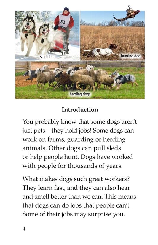 Dogs at Work绘本故事第3页