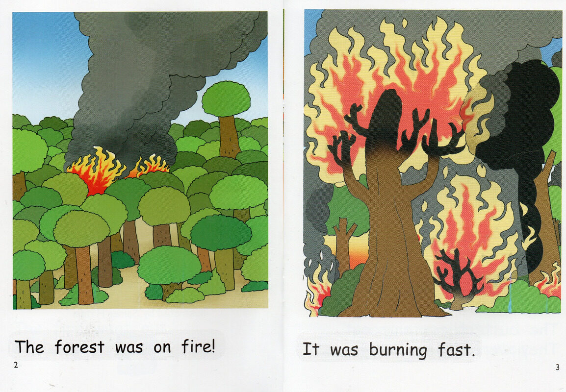 a forest fire绘本故事第3页