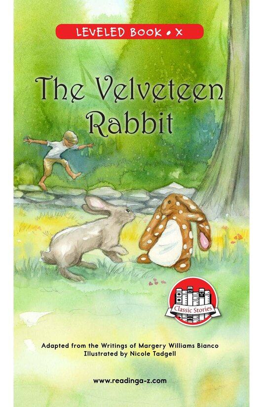 The Velveteen Rabbit绘本故事第2页