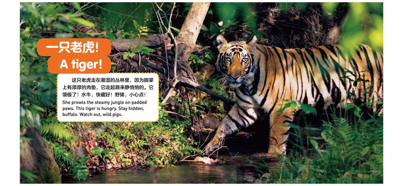 老虎绘本故事第3页