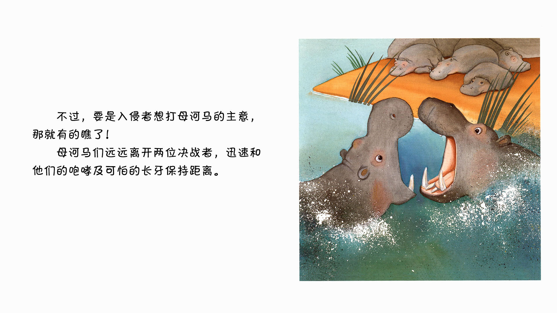 河马绘本故事第4页