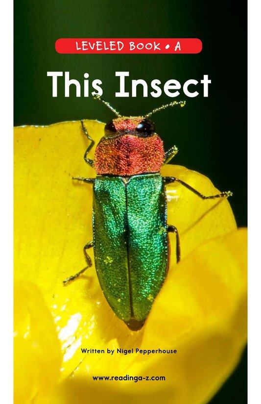 This Insect绘本故事第2页