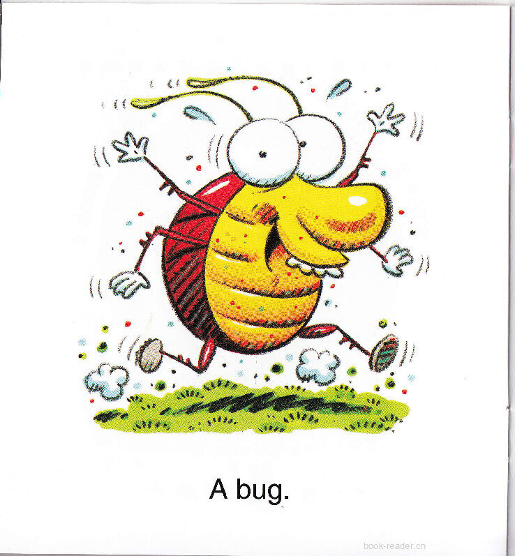 Bug On a Rug绘本故事第3页