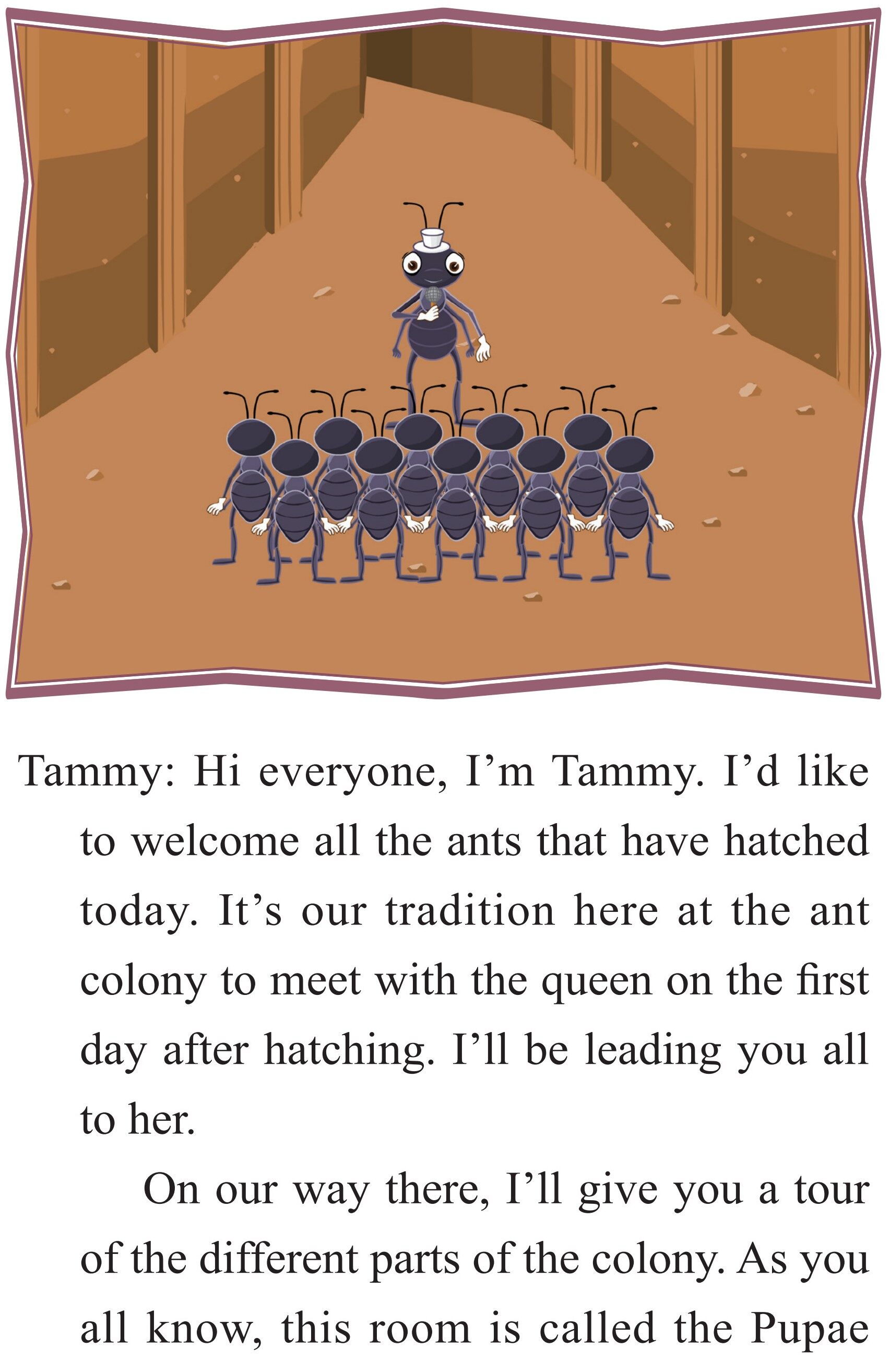 Ants绘本故事第2页