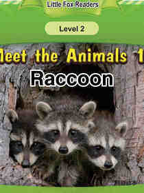 Raccoon