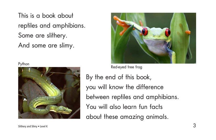 Slithery and Slimy绘本故事第3页