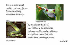Slithery and Slimy绘本故事第3页