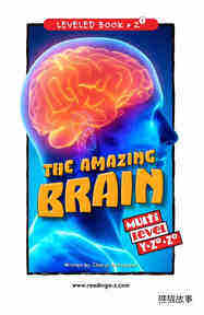 The Amazing Brain