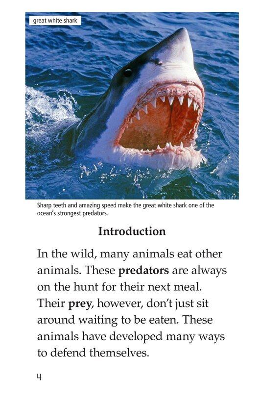 Animal Defenses绘本故事第3页