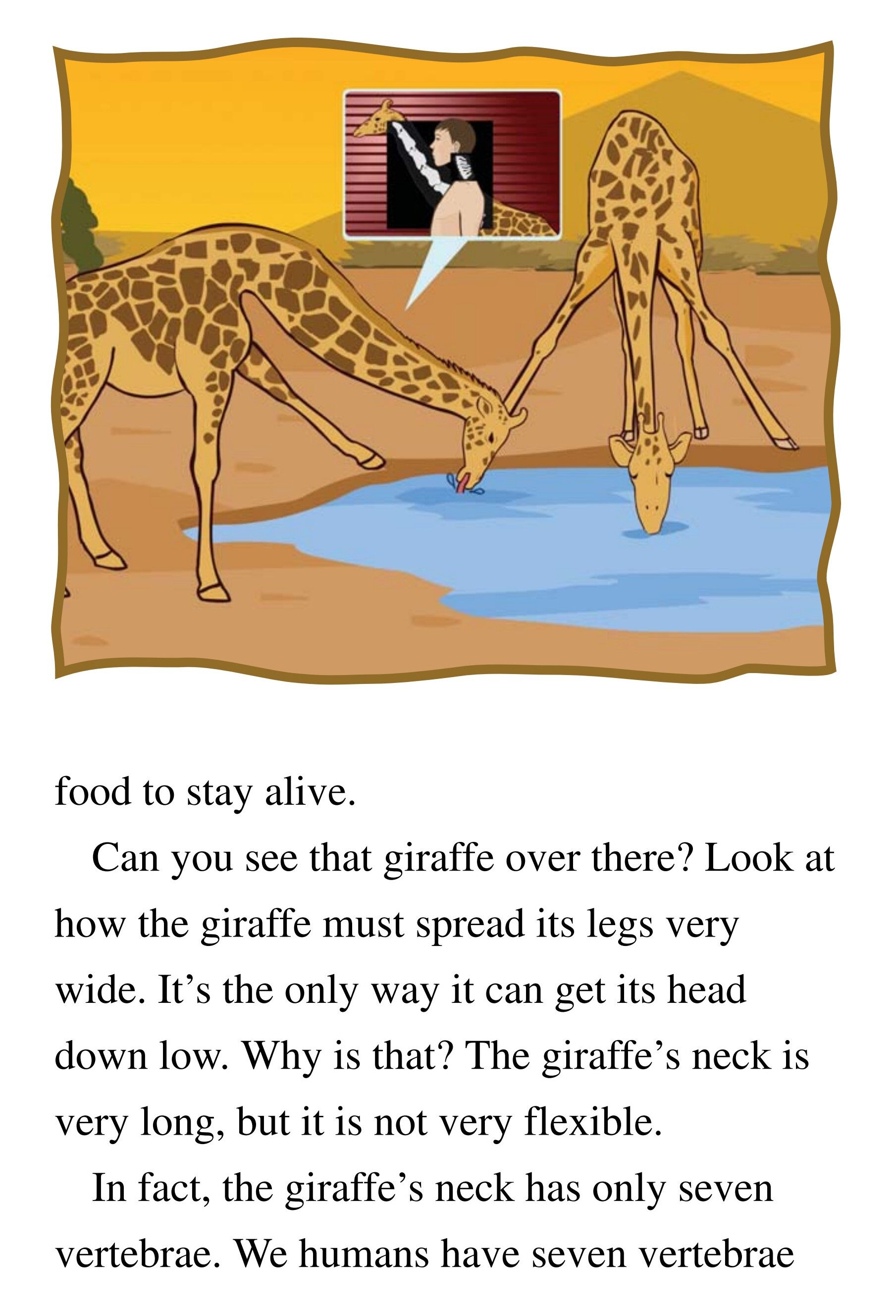 The Tallest Animal in the World绘本故事第5页