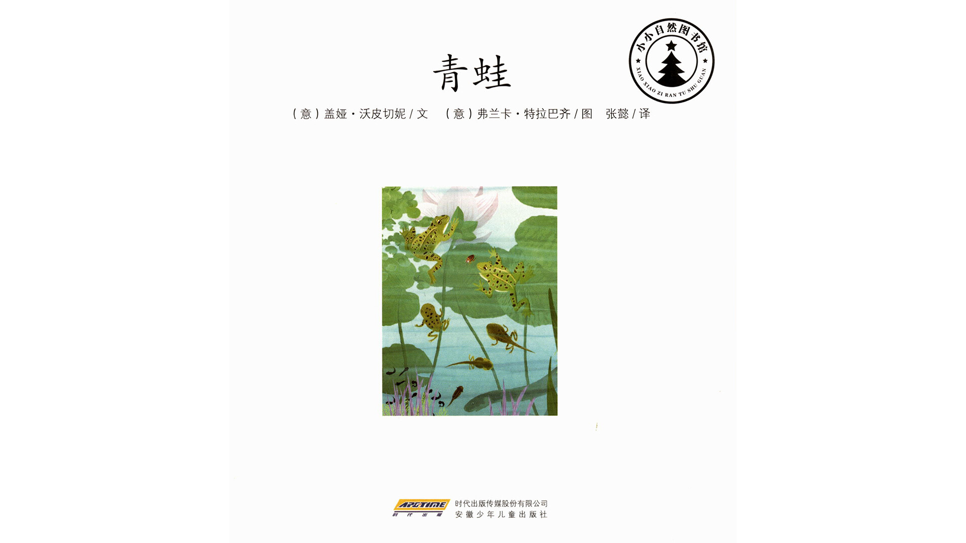 青蛙  绘本故事第2页