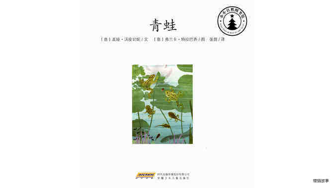 青蛙  绘本故事第2页