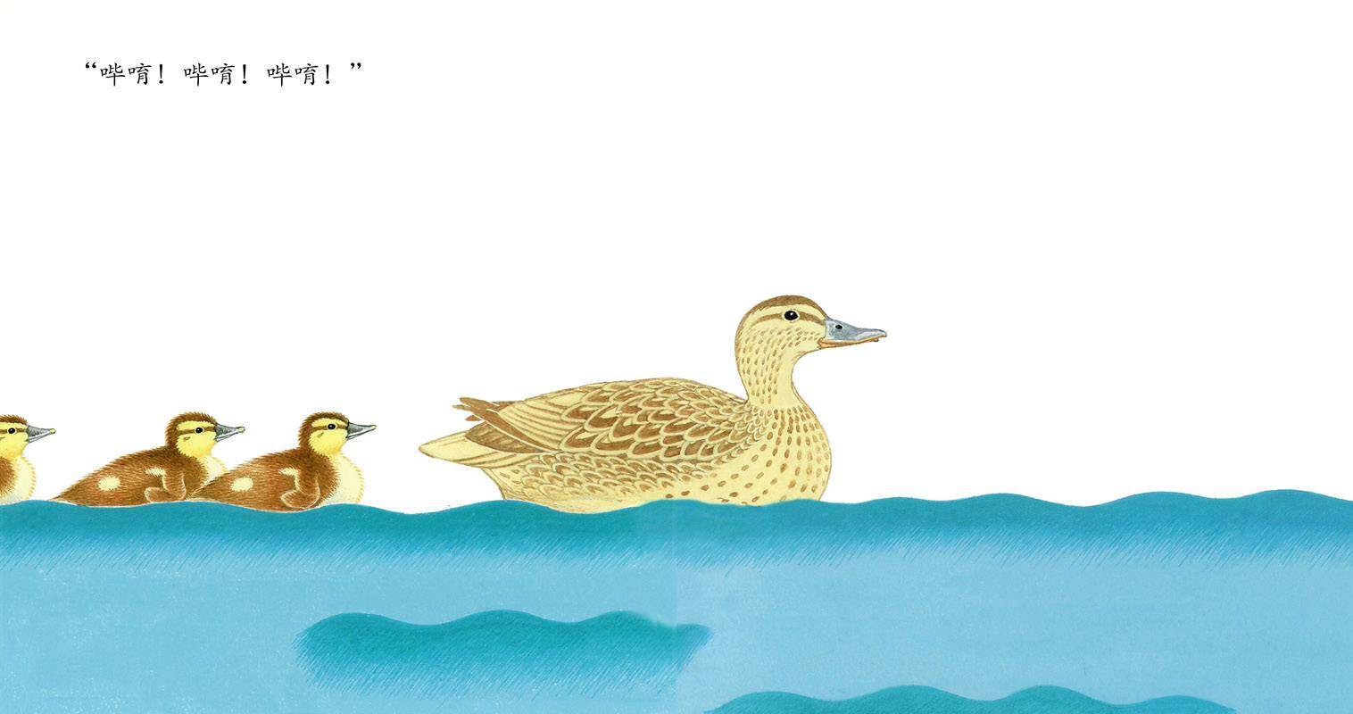 要跟着来噢绘本故事第3页