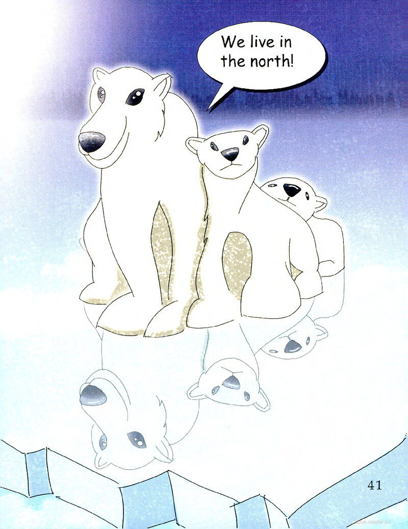 Polar Bears绘本故事第3页