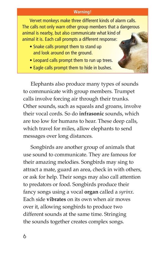 Animal Communication绘本故事第5页