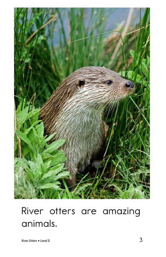 River Otters绘本故事第3页